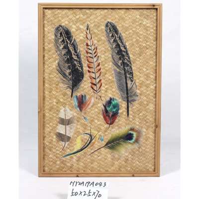 Wooden Framed Wall Hanging Feather Plaque  for Home Decoration